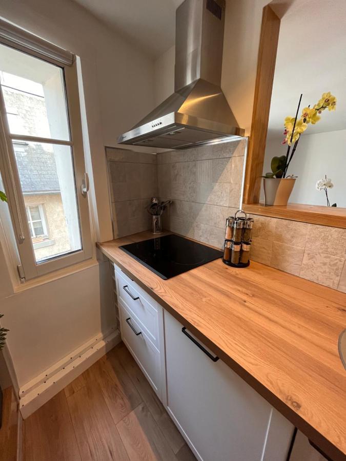 • Bel Appartement - Centre Historique De Poitiers Eksteriør billede