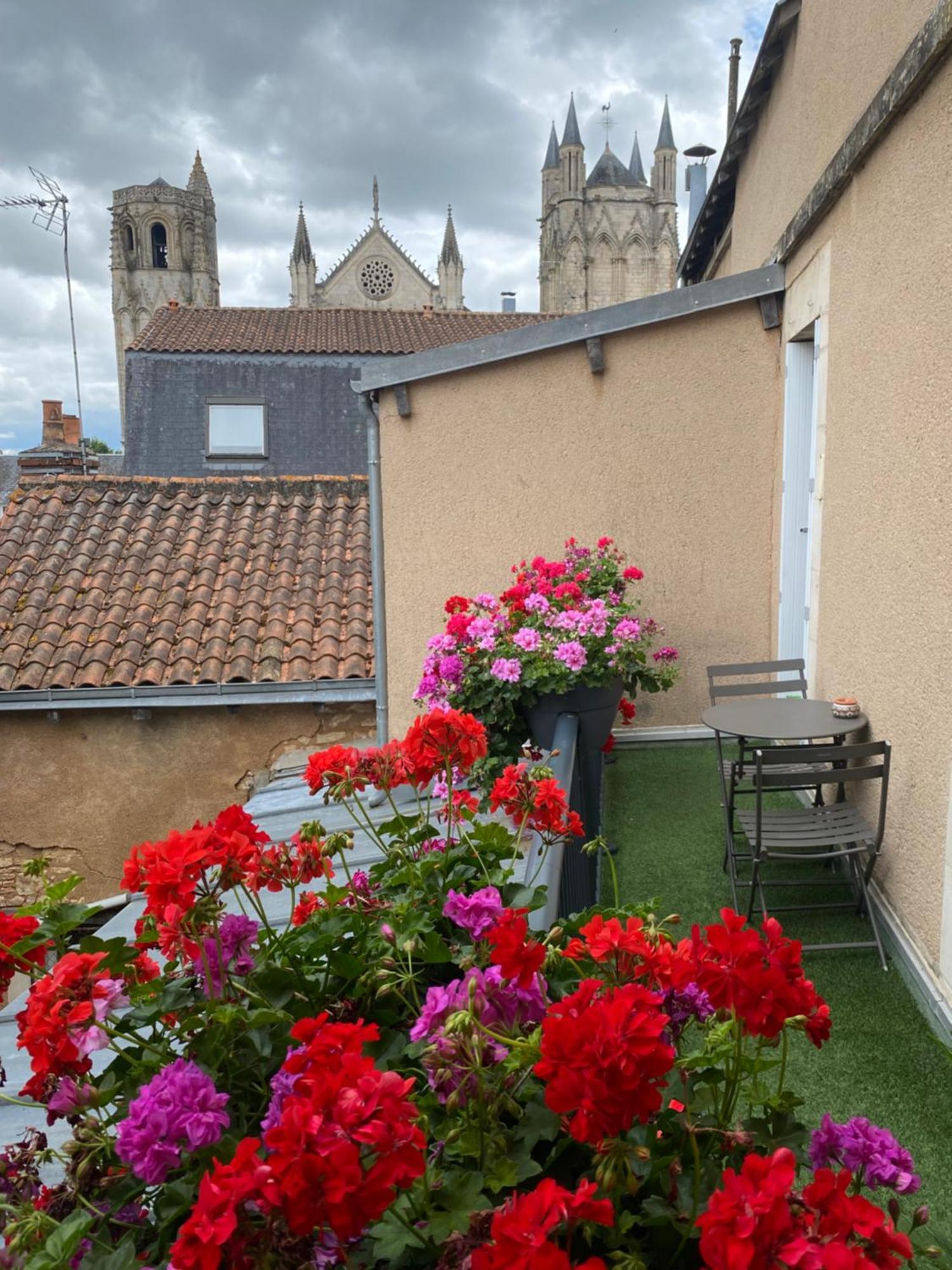 • Bel Appartement - Centre Historique De Poitiers Eksteriør billede
